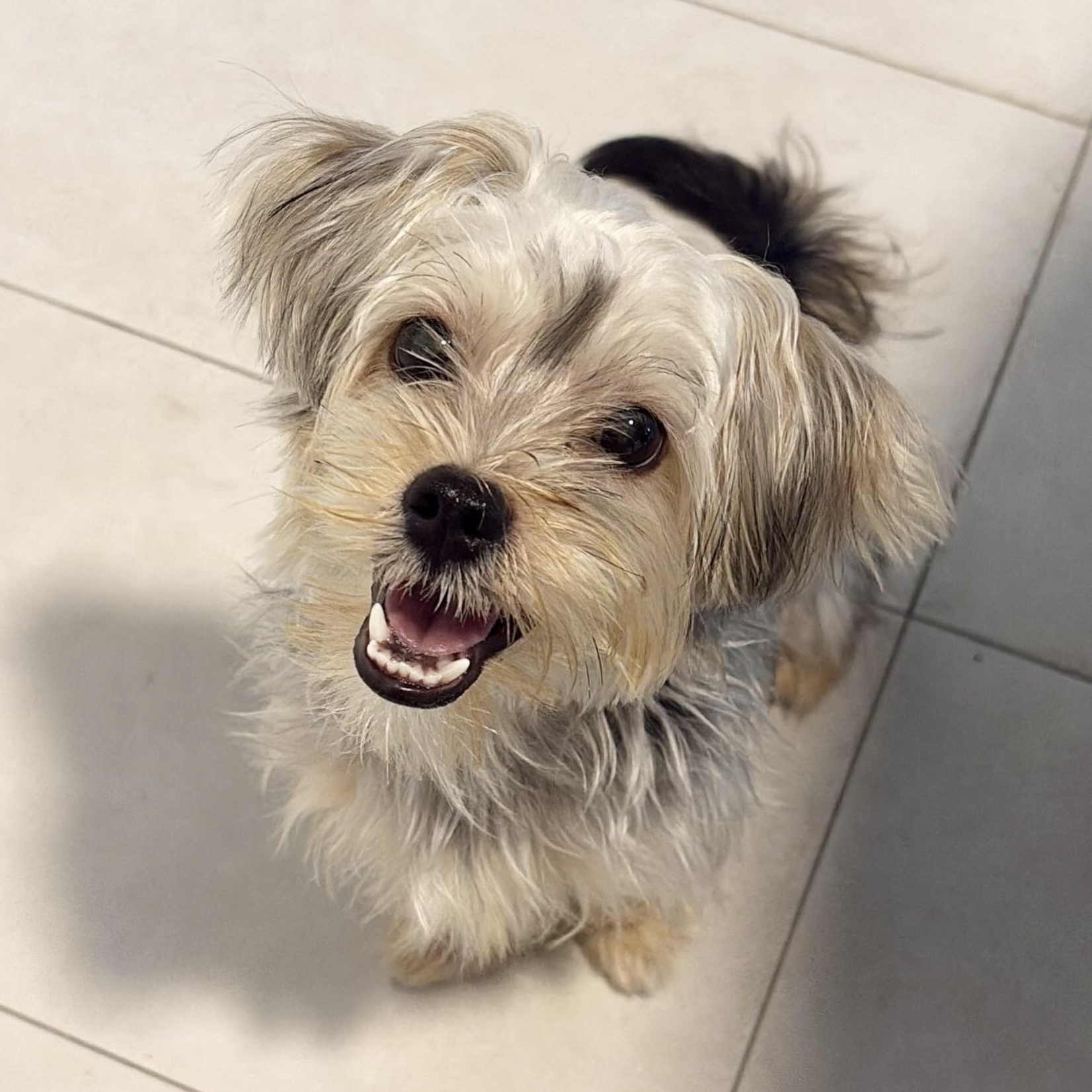 Rachel Lee, mom of Kiyo (puppy)