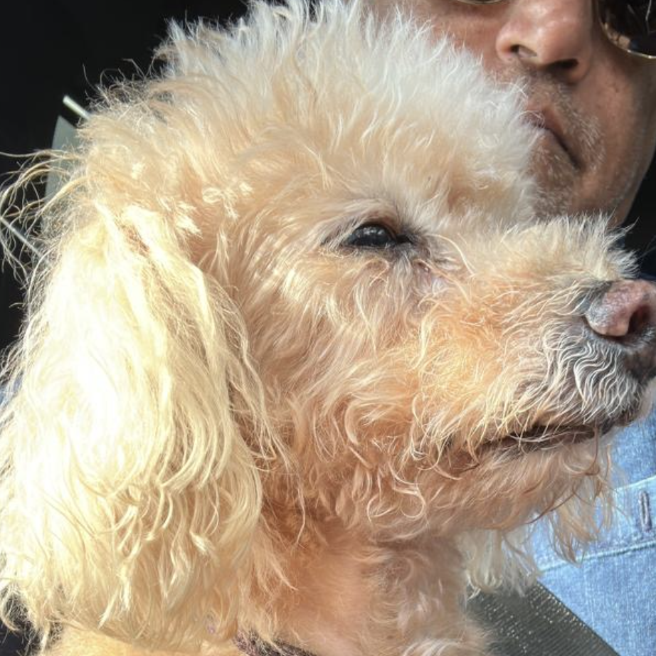 Uncle Sudesh, dad of Lucky Baby (kidney on strike)