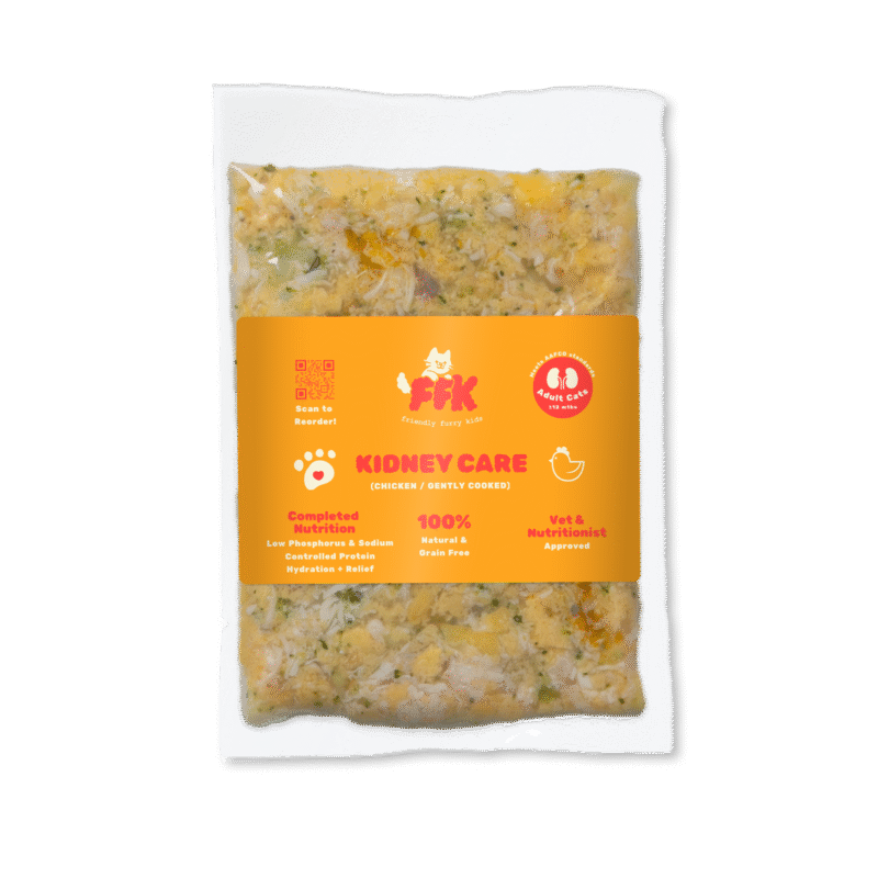 FFKat - Kidney Support (Chicken)*