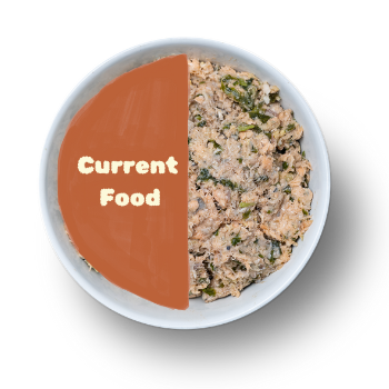 Yum! This is a balanced option – good one to start with!