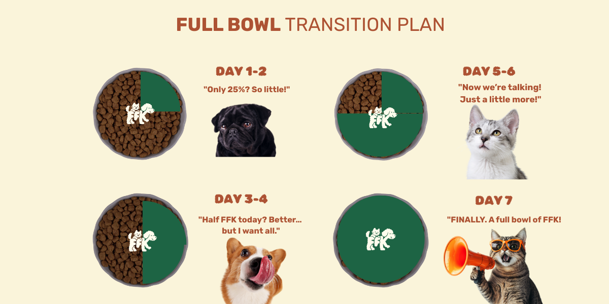 Full Bowl Plan